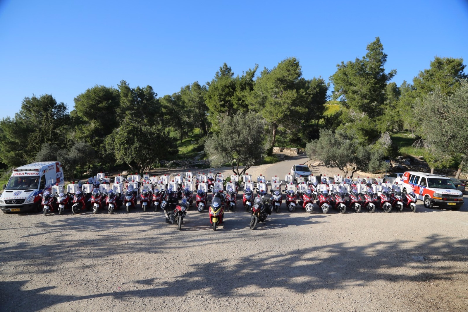 (Photo credit: Meir Lavi)